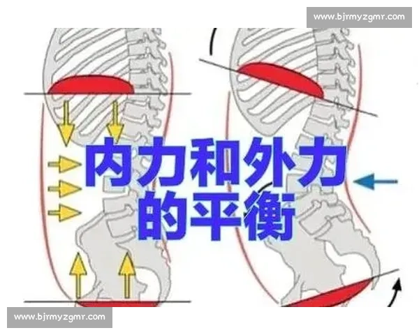 提升运动表现与肌肉力量的全面训练方案及科学方法解析